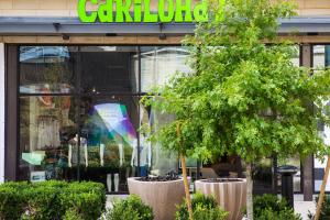 Cariloha-Domain-4