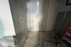 Pic-3
