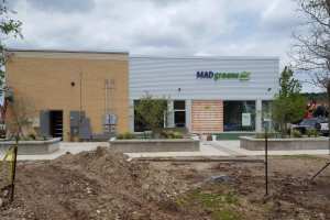 madGreens01