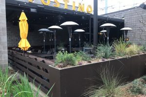 Postino-Cover