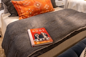 DO7A9687-HDR