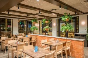 Taco-Ranch-13