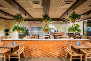 Taco-Ranch-5