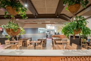 Taco-Ranch-6